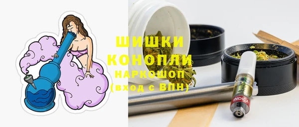 прущая мука Дмитриев