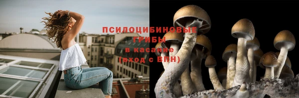 бутират Дмитровск