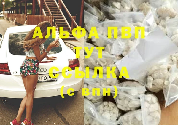 прущая мука Дмитриев