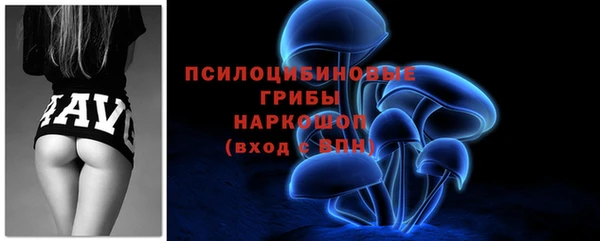 прущая мука Дмитриев