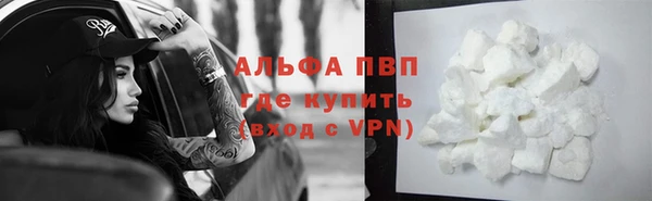 СК Дмитров