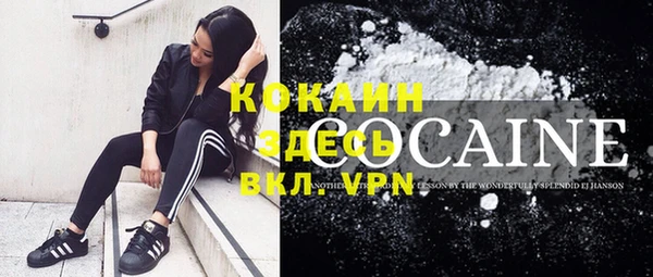 СК Дмитров