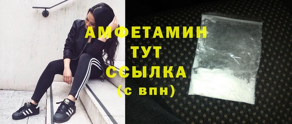 СК Дмитров
