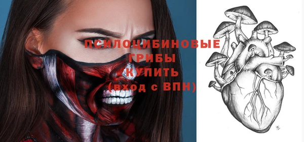 СК Дмитров